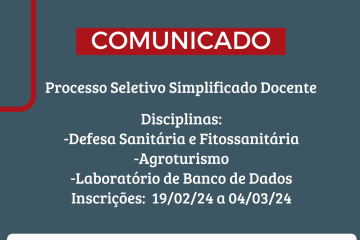 Processo Seletivo Simplificado - Até 04/03/2024